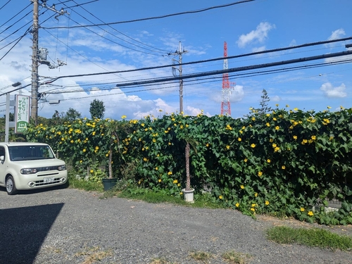 駐車場01
